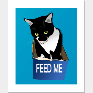 Cute Tuxedo Cat Hungry Cat in a Box  Copyright by TeAnne Posters and Art